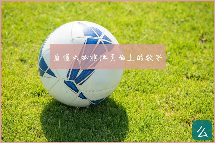 看懂大咖棋牌页面上的数字